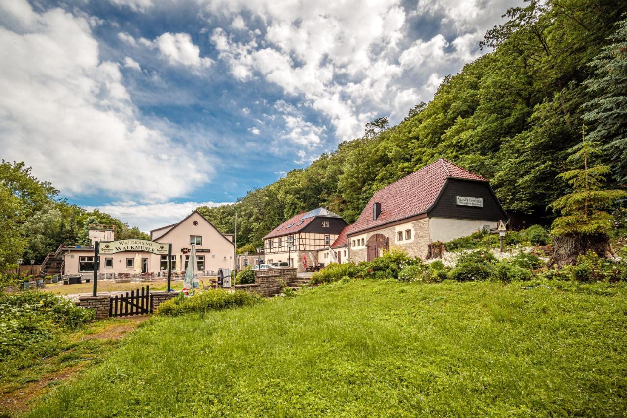 Pension Walkmuehle Sangerhausen Dış mekan fotoğraf